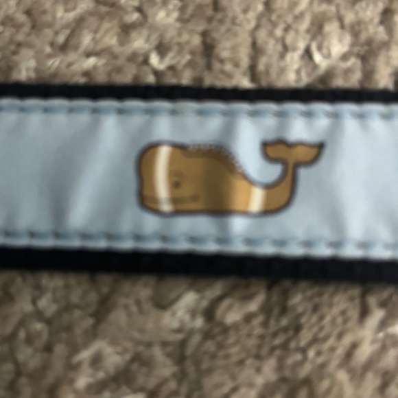 Vineyard Vines Brown and Blue Kids Belt - Picture 2 of 6